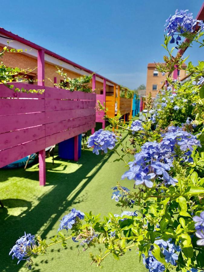 Hotel Acajou Argelès-sur-Mer Exteriör bild